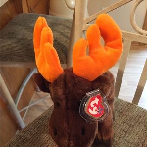 Ty Beanie Buddie Buddy - New with tag, Mint, Cute!